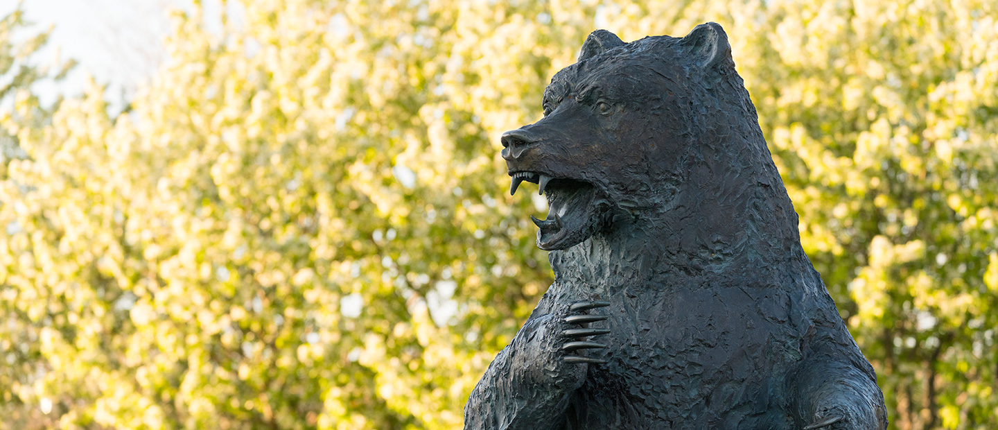 校园里的灰熊雕像的照片。