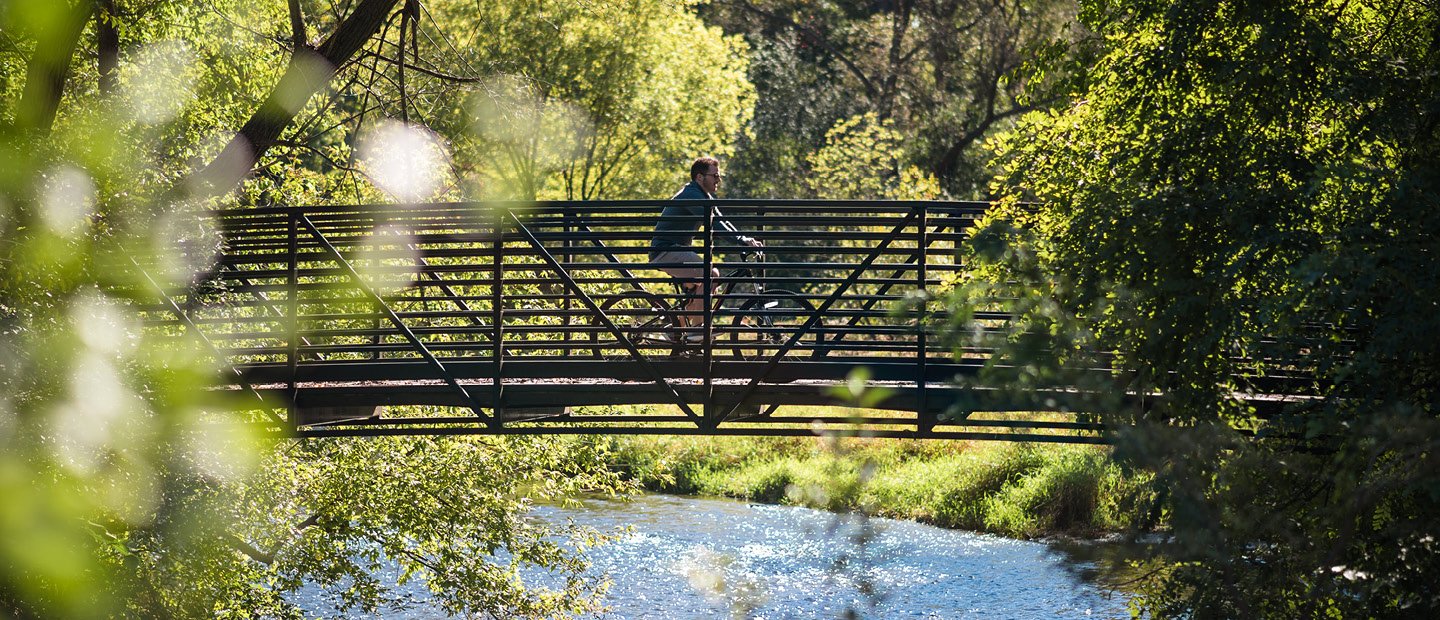 男人骑自行车在树林里水站在一座桥上