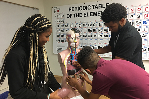 三个学生站在元素周期表的图表前，摆弄着一个人体头部和躯干的模型