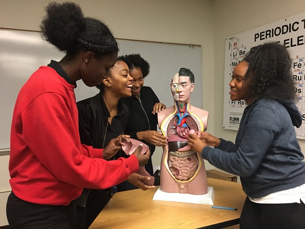 BFMS的学生们在玩一个人体头部/躯干模型。