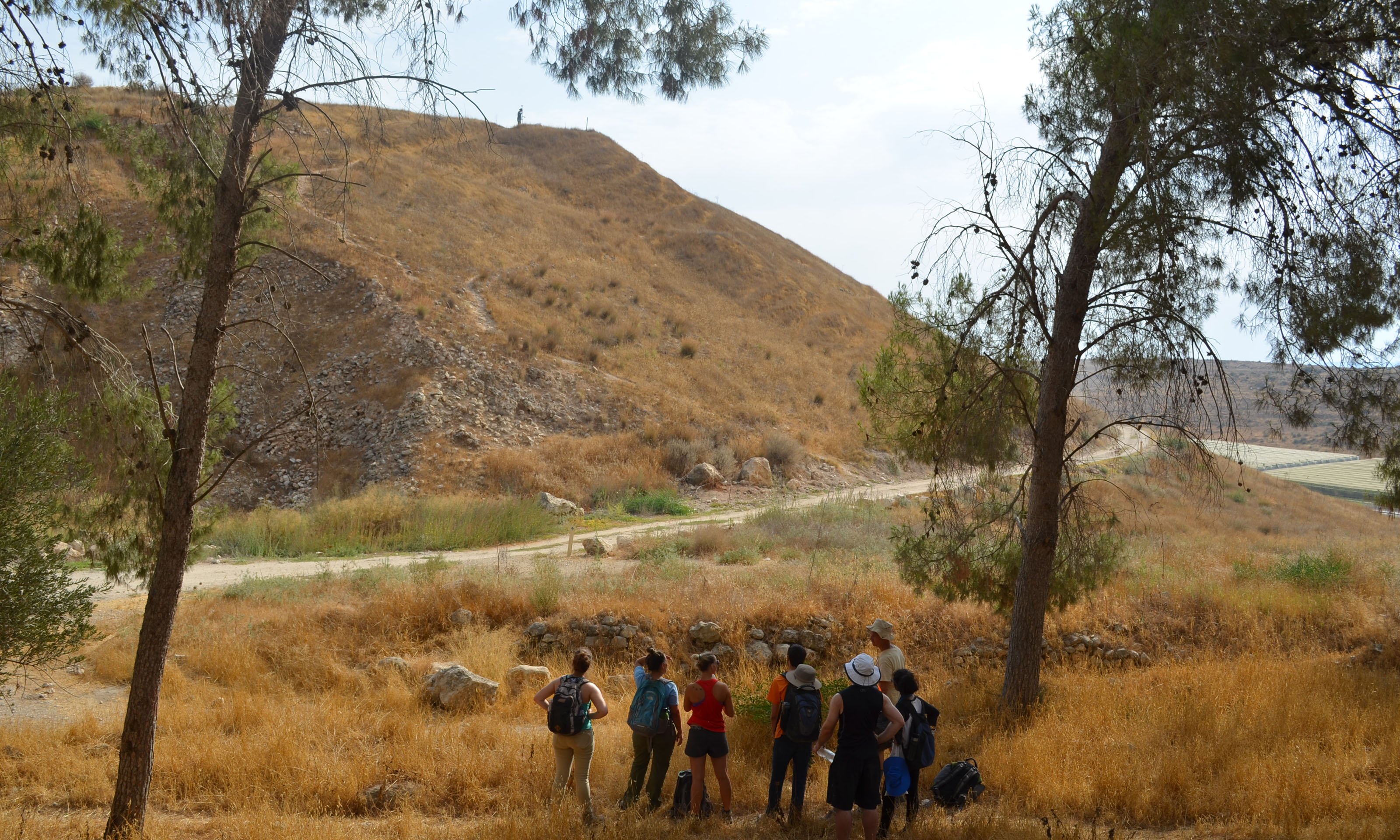 一群学生站在以色列的山坡上