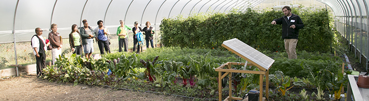 男人站在一个温室,指着一株植物,和一群学生看着他