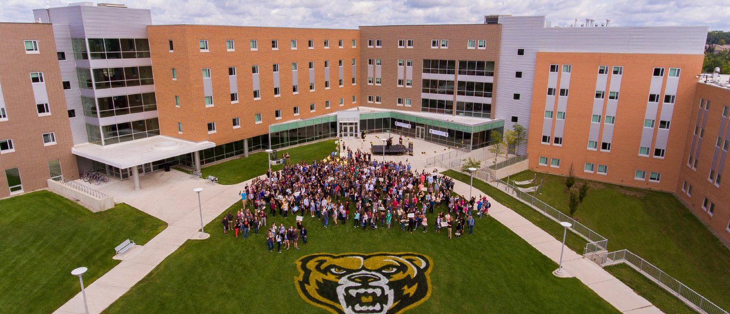 荣誉学院大楼前的学生，草地上画着棕熊的标志