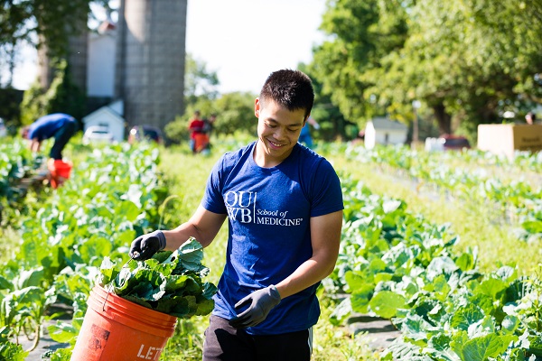 一名学生在田间采摘绿色蔬菜，这是一年一度的第一天服务活动的一部分
