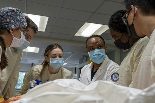 一个图像的FMS教员与学生在解剖实验室