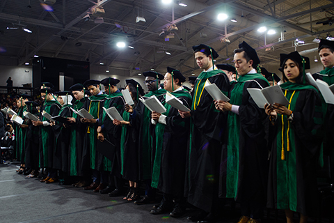 行毕业生在绿色和黑色长袍和帽子,阅读从一个程序