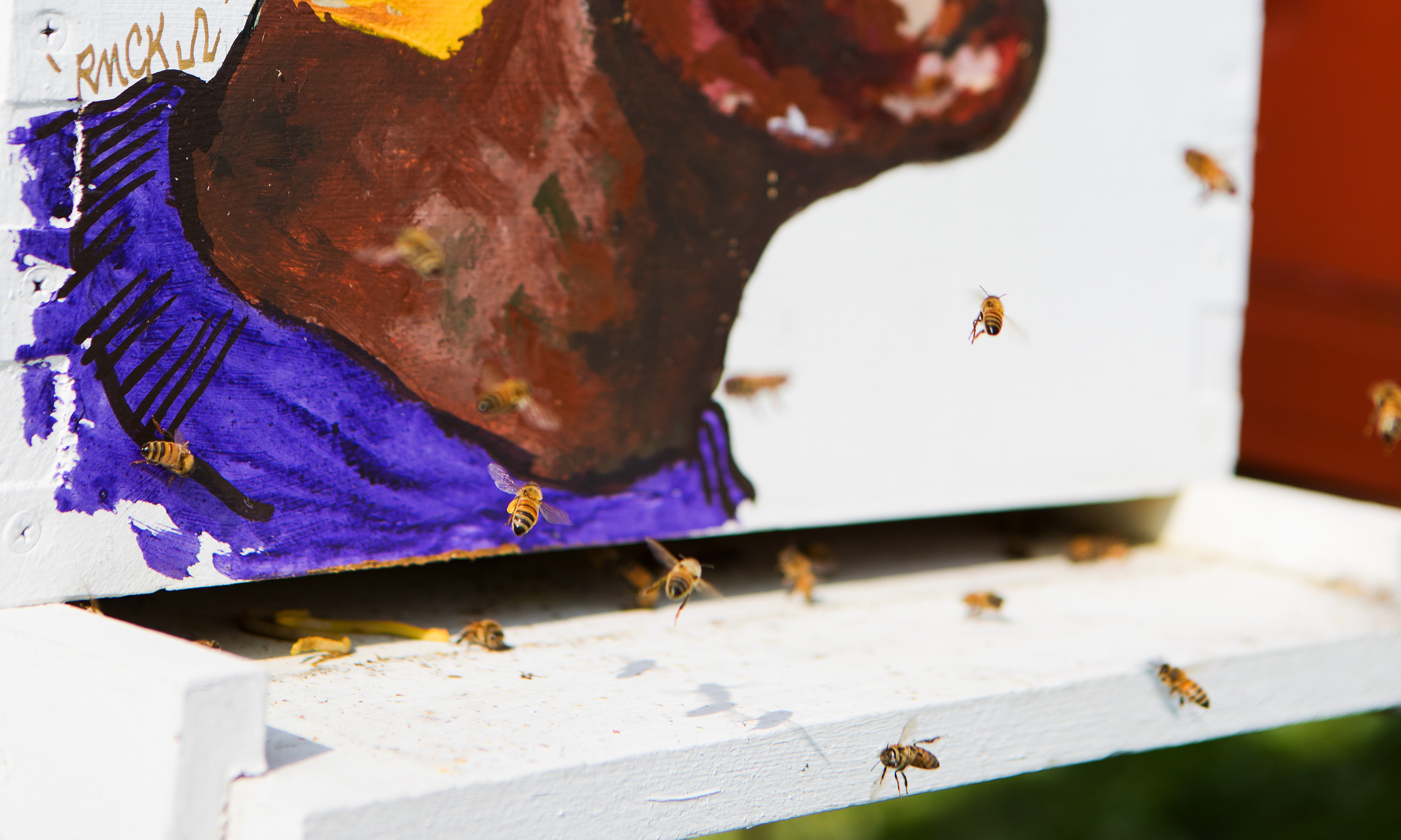 一幅画的一个人在一个蜂巢