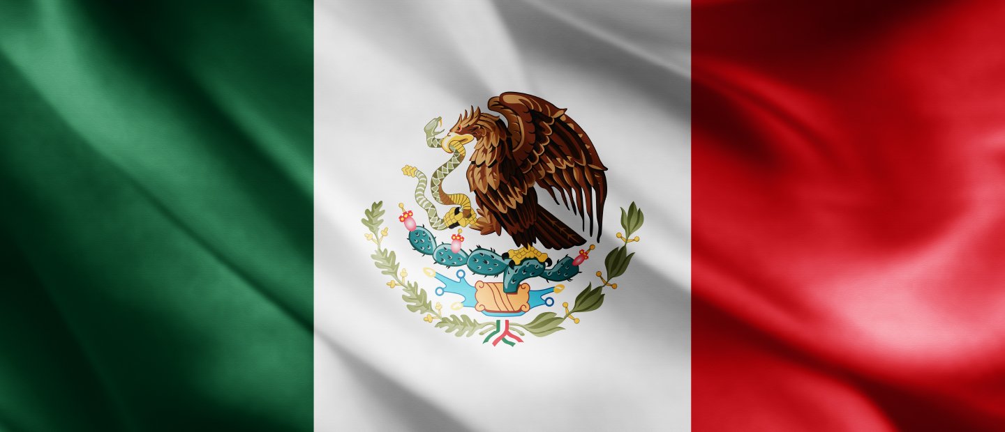 一面墨西哥国旗，白色背景中，一只叼着蛇的老鹰栖息在仙人掌上，左边为绿色部分，右边为红色部分