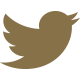Twitter Logo - Link to Twitter account